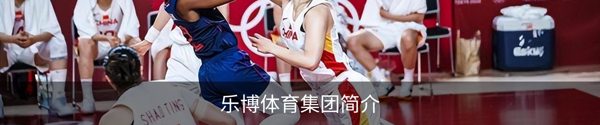 乐博体育集团简介